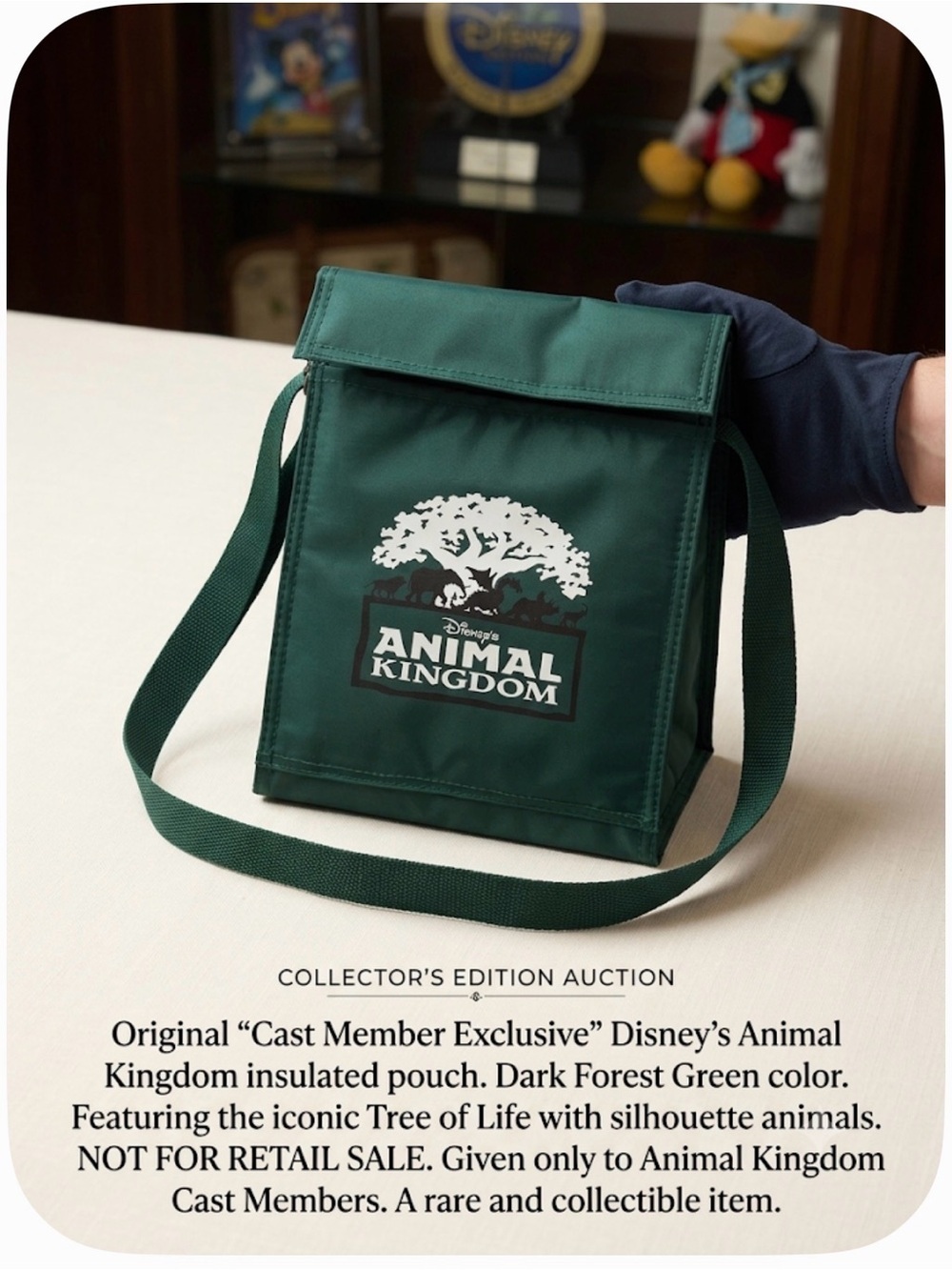 Disney Animal Kingdom Green  Insulated Pouch